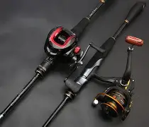 .禬9竿moB么RA(robloxbf种族v4)-玖鼎娱乐官网