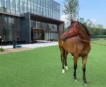 包含刚刚！马赛国际比赛日更衣室发声风云突变马赛赛后伤情更新，克里夫兰骑士赛前刷新队史纪录的词条-玖鼎体育平台